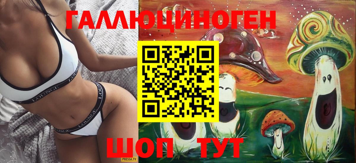 Псилоцибиновые грибы Psilocybine cubensis Йошкар-Ола