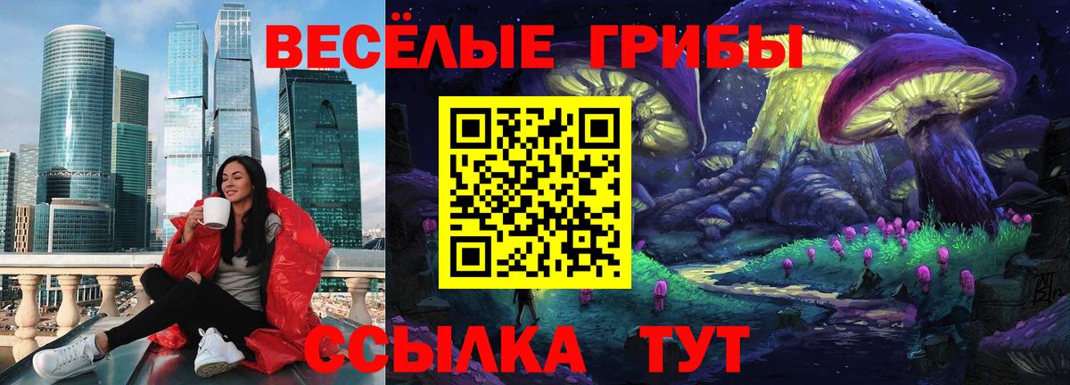 Галлюциногенные грибы MAGIC MUSHROOMS  Вход с VPN  Йошкар-Ола 